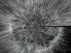 data.Matrix - 32.0152N-6.7189W