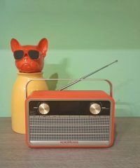 Scuola secondaria di primo grado “E. Comparoni”, Bagnolo in Piano (RE).