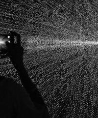 Raffaele Di Pasquale