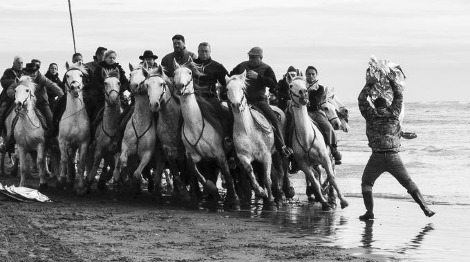 Alberto Casali e Massimo Zanichelli