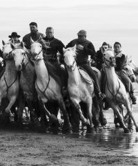 Alberto Casali e Massimo Zanichelli