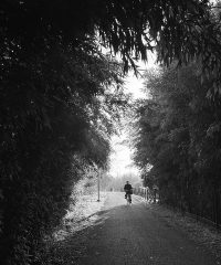 PhotoLab 7 (SD Factory – Laboratorio creativo)