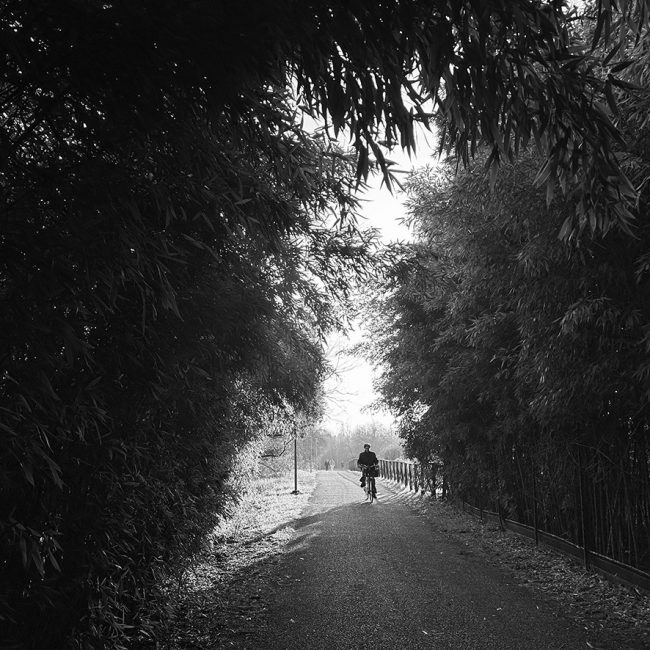 PhotoLab 7 (SD Factory – Laboratorio creativo)