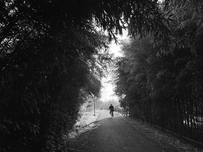 PhotoLab 7 (SD Factory – Laboratorio creativo)