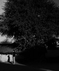 Collettivo Fotografico ContrastoLab