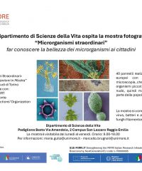 Ideata dall’Università di Torino – autori vari nazionali ed internazionali
