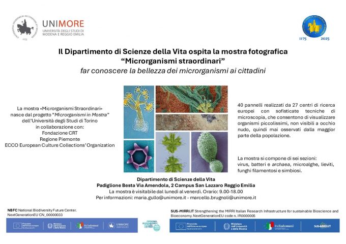 Ideata dall’Università di Torino – autori vari nazionali ed internazionali