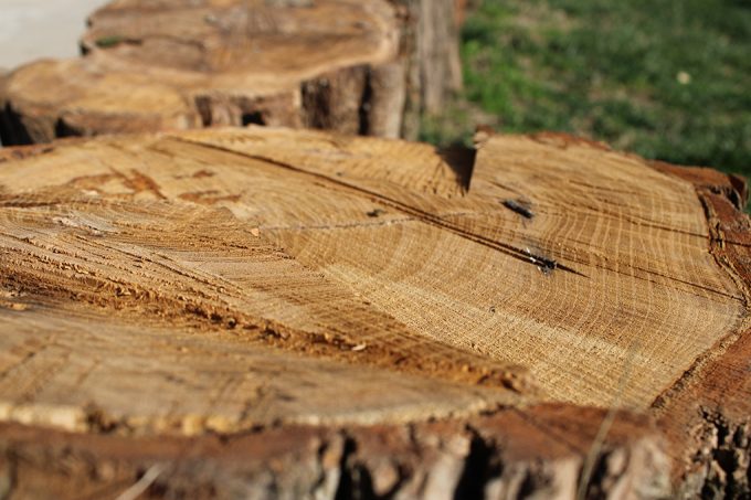 I bambini e le bambine della scuola dell’infanzia Pio VI