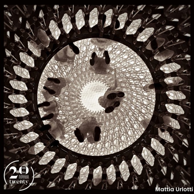 Il cerchio della vita