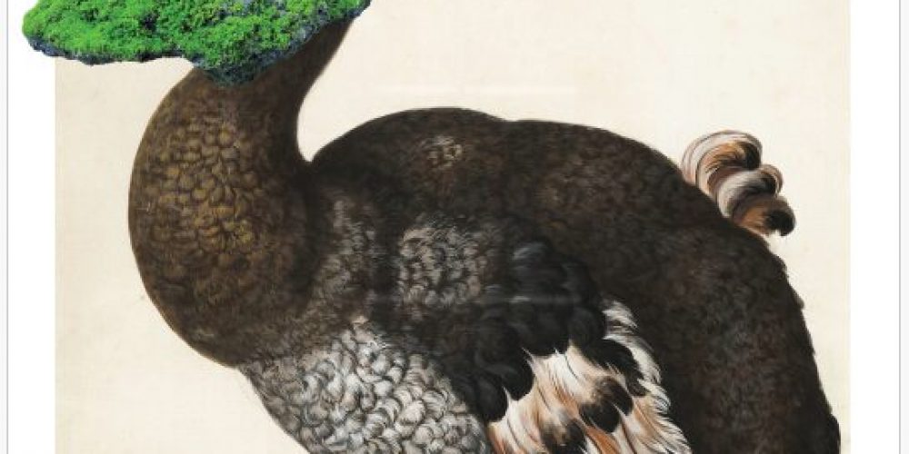 Presentazione del libro “Standard ISO 29991. Tesauro di ecologia bambina”