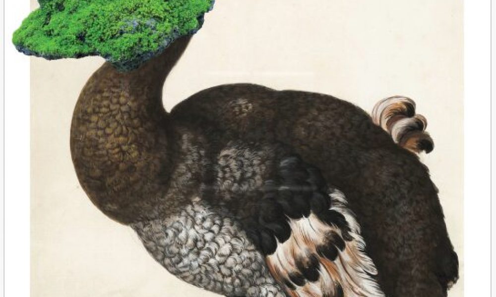 Presentazione del libro “Standard ISO 29991. Tesauro di ecologia bambina”