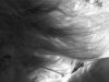Capelli al vento di Laura Maria Mazzoni
